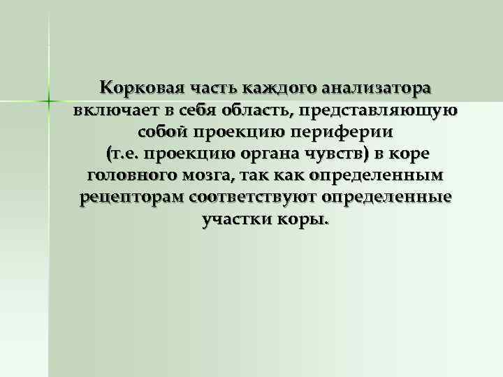   Корковая часть каждого анализатора включает в себя область, представляющую   собой