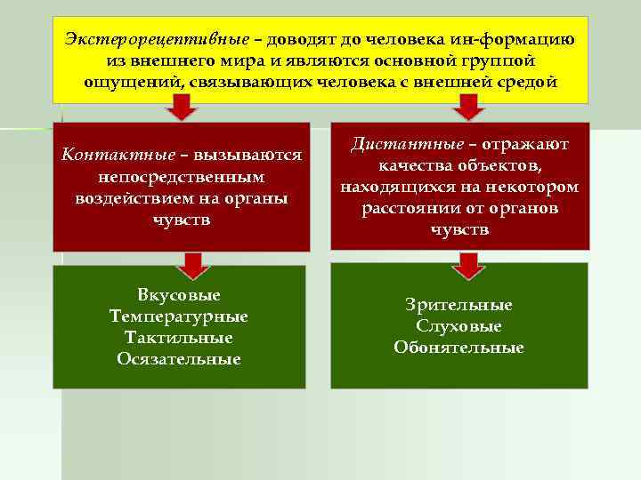 Дистантные ощущения. Экстерорецептивные ощущения это в психологии. Контактные виды ощущений. К экстерорецептивным относятся … Ощущения. Контактные и дистантные ощущения.