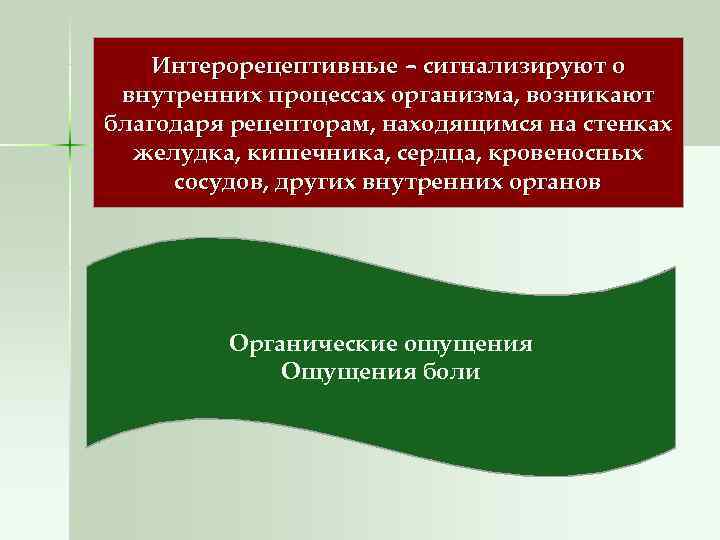   Интерорецептивные – сигнализируют о внутренних процессах организма, возникают благодаря рецепторам, находящимся на