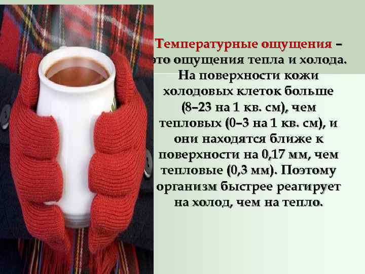  Температурные ощущения – это ощущения тепла и холода.  На поверхности кожи 