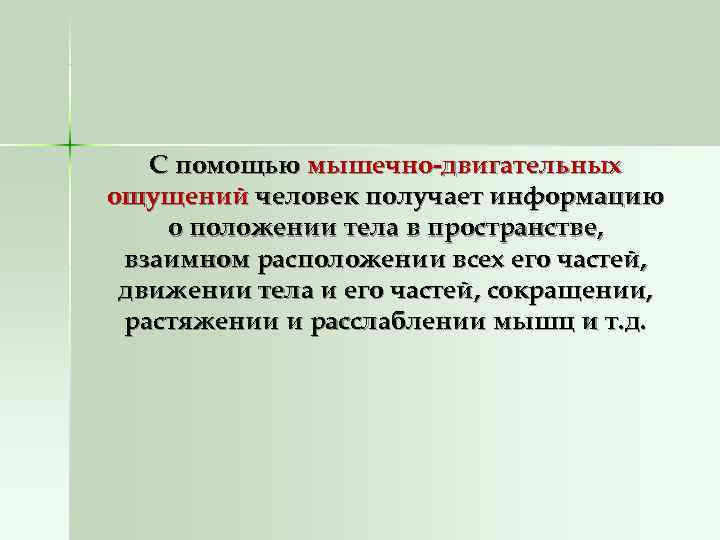   С помощью мышечно-двигательных ощущений человек получает информацию о положении тела в пространстве,
