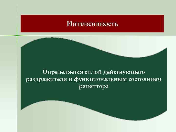   Интенсивность   Определяется силой действующего раздражителя и функциональным состоянием  