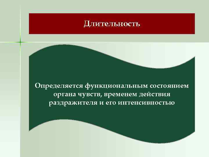  Длительность Определяется функциональным состоянием органа чувств, временем действия  раздражителя и его