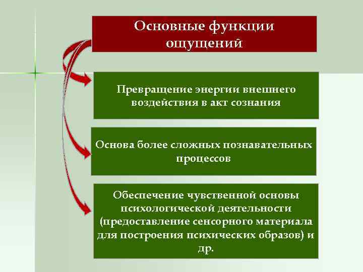  Основные функции  ощущений Превращение энергии внешнего воздействия в акт сознания  Основа