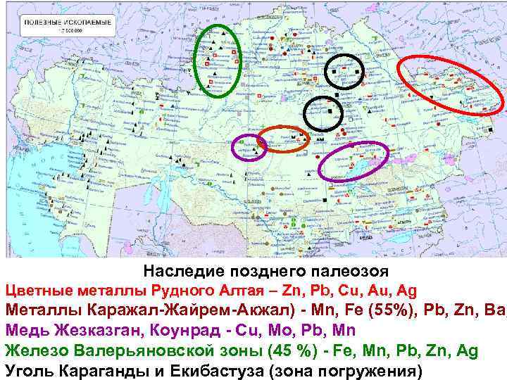     Наследие позднего палеозоя Цветные металлы Рудного Алтая – Zn, Pb,