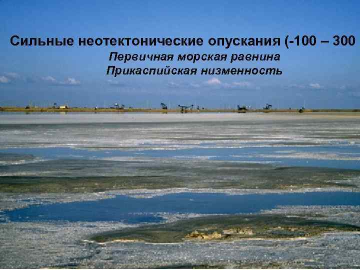 Сильные неотектонические опускания (-100 – 300 м   Первичная морская равнина  
