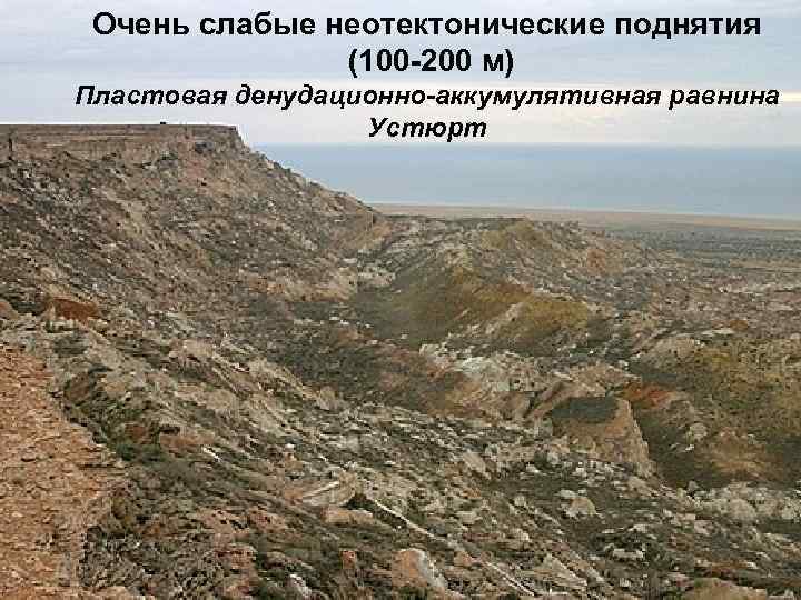  Очень слабые неотектонические поднятия    (100 -200 м) Пластовая денудационно-аккумулятивная равнина