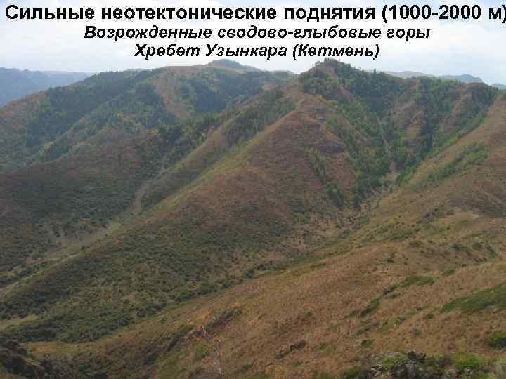 Сильные неотектонические поднятия (1000 -2000 м)  Возрожденные сводово-глыбовые горы   Хребет Узынкара