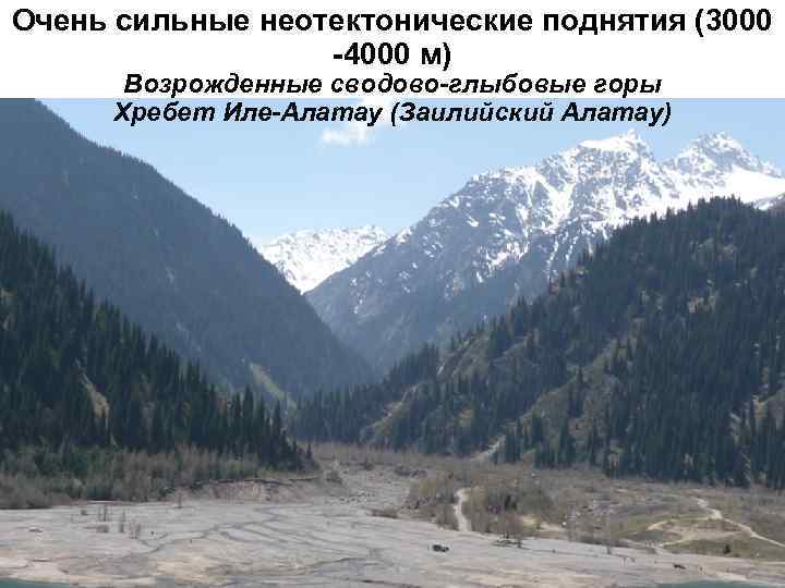 Очень сильные неотектонические поднятия (3000    -4000 м)  Возрожденные сводово-глыбовые горы