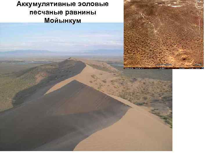 Аккумулятивные эоловые  песчаные равнины  Мойынкум 