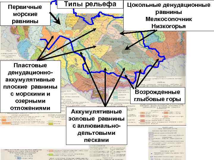  Первичные  Типы рельефа  Цокольные денудационные  морские    