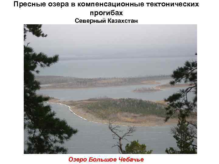 Пресные озера в компенсационные тектонических    прогибах    Северный Казахстан