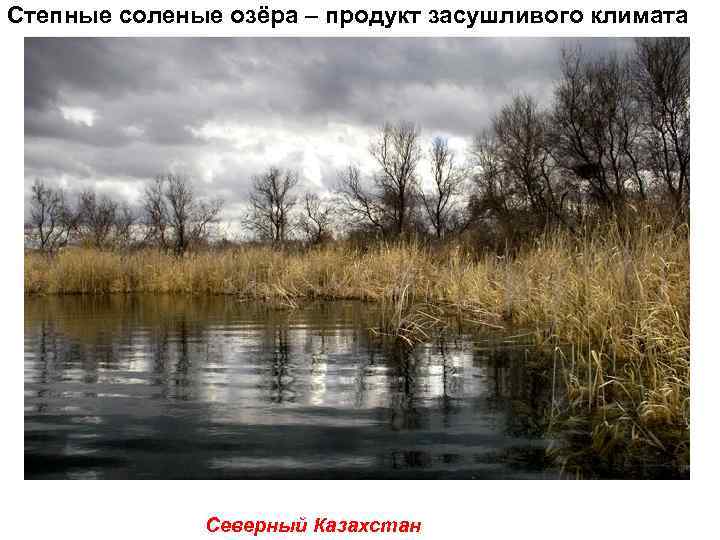 Степные соленые озёра – продукт засушливого климата    Северный Казахстан 