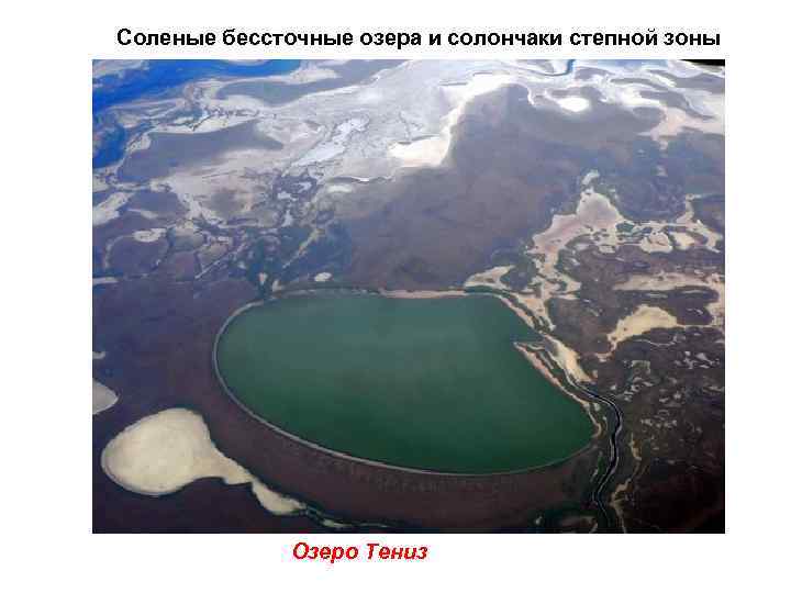 Соленые бессточные озера и солончаки степной зоны    Озеро Тениз 