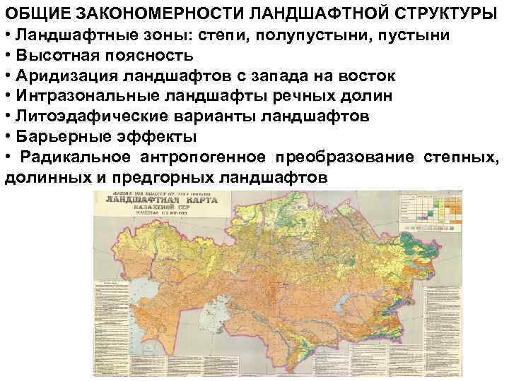 ОБЩИЕ ЗАКОНОМЕРНОСТИ ЛАНДШАФТНОЙ СТРУКТУРЫ • Ландшафтные зоны: степи, полупустыни, пустыни • Высотная поясность •