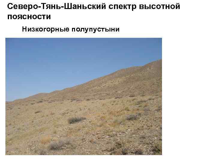 Северо-Тянь-Шаньский спектр высотной поясности Низкогорные полупустыни 