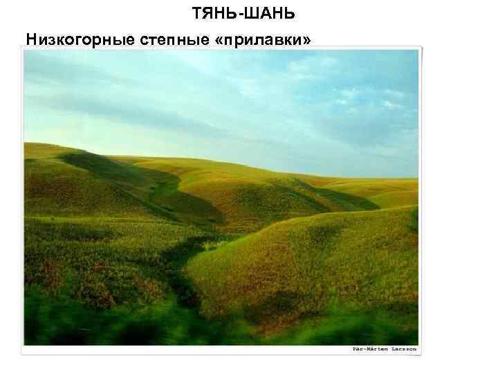 ТЯНЬ-ШАНЬ Низкогорные степные «прилавки» 