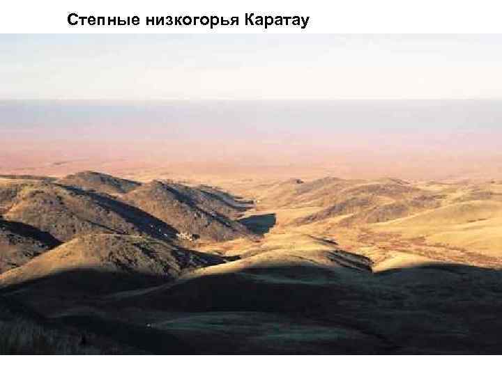 Степные низкогорья Каратау 