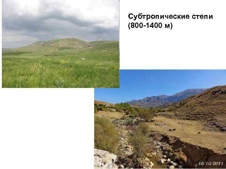 Субтропические степи (800 -1400 м) 