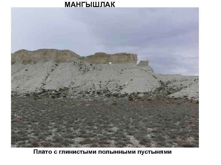 МАНГЫШЛАК Плато с глинистыми полынными пустынями 