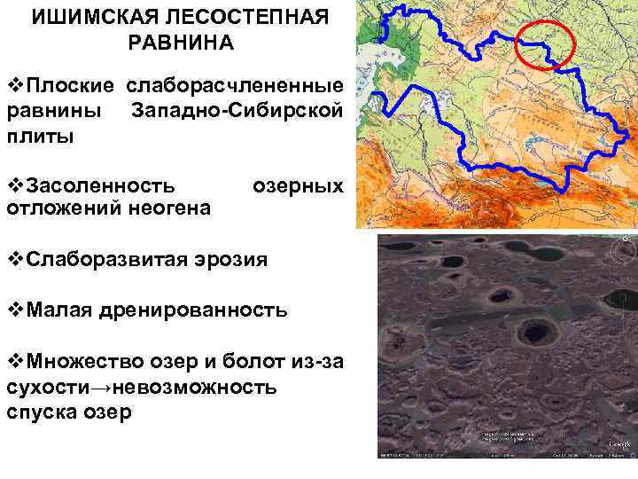 ИШИМСКАЯ ЛЕСОСТЕПНАЯ РАВНИНА v. Плоские слаборасчлененные равнины Западно-Сибирской плиты v. Засоленность отложений неогена озерных