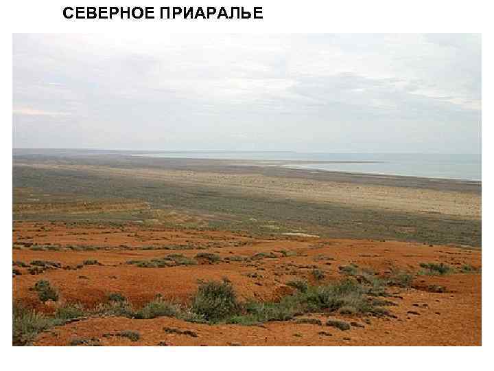 СЕВЕРНОЕ ПРИАРАЛЬЕ 
