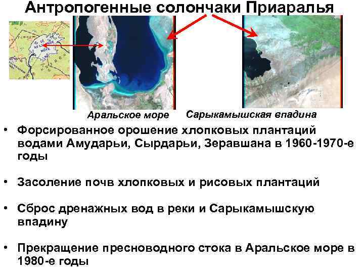 Антропогенные солончаки Приаралья Аральское море Сарыкамышская впадина • Форсированное орошение хлопковых плантаций водами Амударьи,