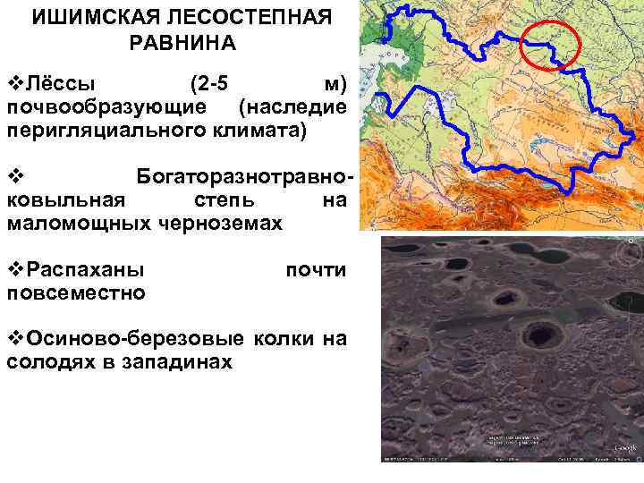 Ишимская равнина на физической карте. Ишимская равнина. Ишимская равнина на карте. Ишимская равнина на карте России на физической. Ишимская равнина на карте России.