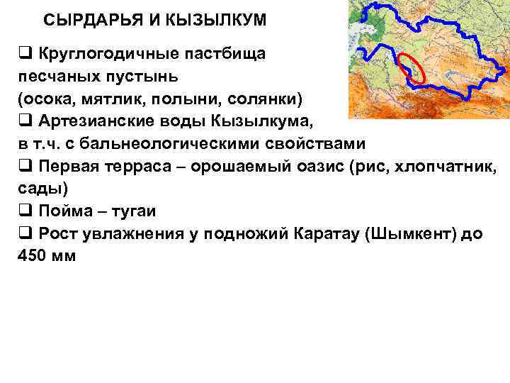 СЫРДАРЬЯ И КЫЗЫЛКУМ q Круглогодичные пастбища песчаных пустынь (осока, мятлик, полыни, солянки) q Артезианские