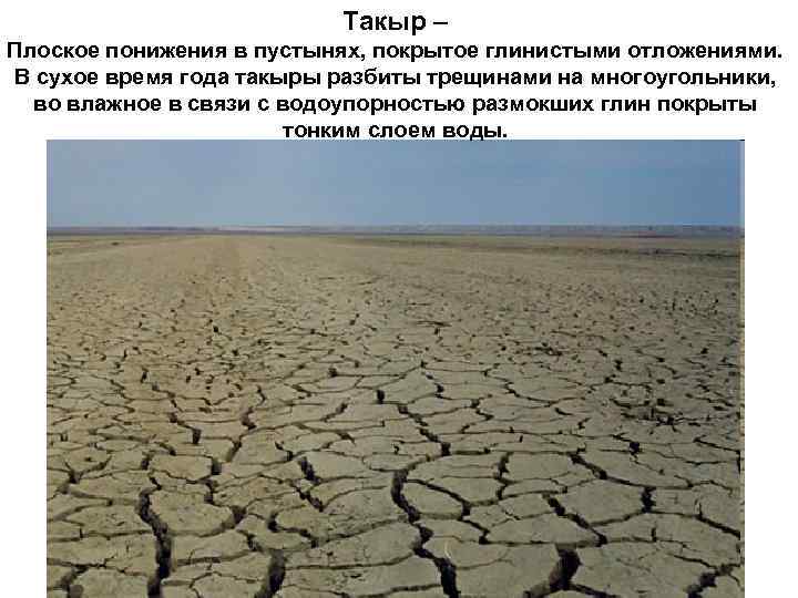 Такыр – Плоское понижения в пустынях, покрытое глинистыми отложениями. В сухое время года такыры