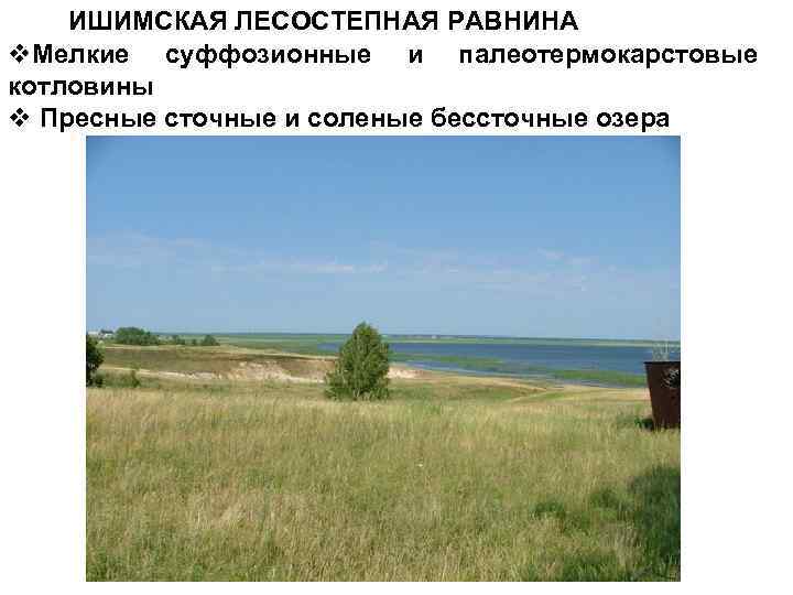 ИШИМСКАЯ ЛЕСОСТЕПНАЯ РАВНИНА v. Мелкие суффозионные и палеотермокарстовые котловины v Пресные сточные и соленые