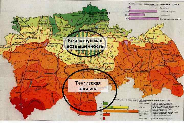 Кокшетаусская возвышенность Тенгизская равнина 