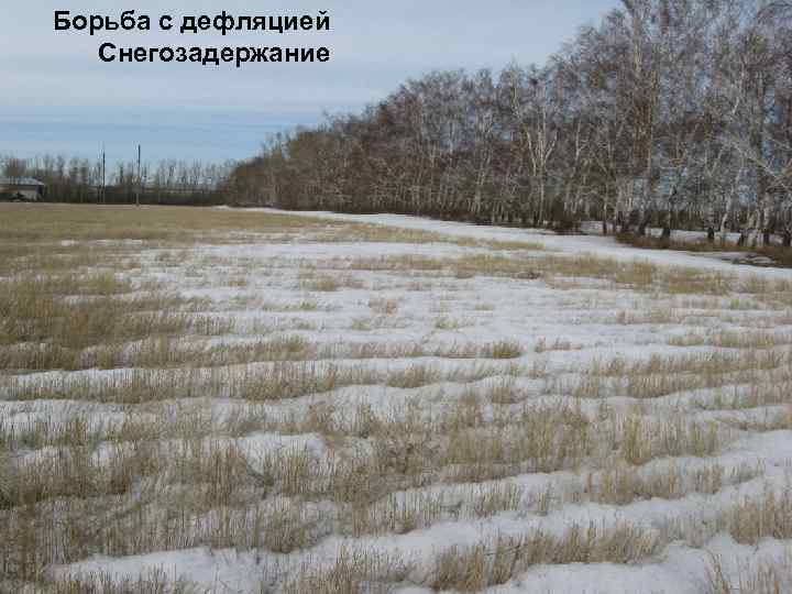 Борьба с дефляцией Снегозадержание 