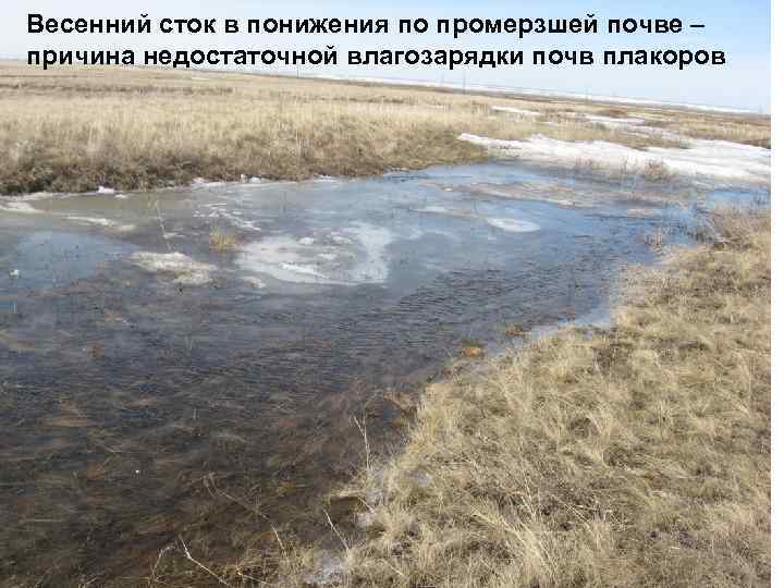 Весенний сток в понижения по промерзшей почве – причина недостаточной влагозарядки почв плакоров 