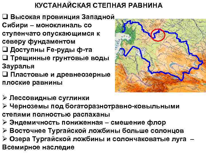 КУСТАНАЙСКАЯ СТЕПНАЯ РАВНИНА q Высокая провинция Западной Сибири – моноклиналь со ступенчато опускающимся к