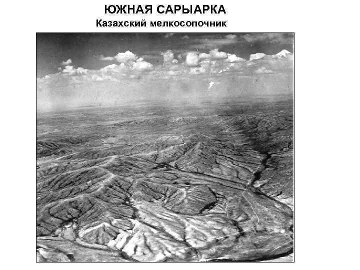 ЮЖНАЯ САРЫАРКА Казахский мелкосопочник 