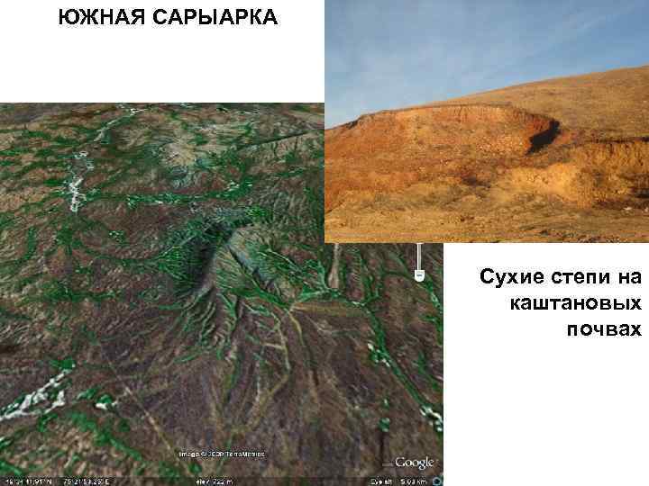 ЮЖНАЯ САРЫАРКА Сухие степи на каштановых почвах 