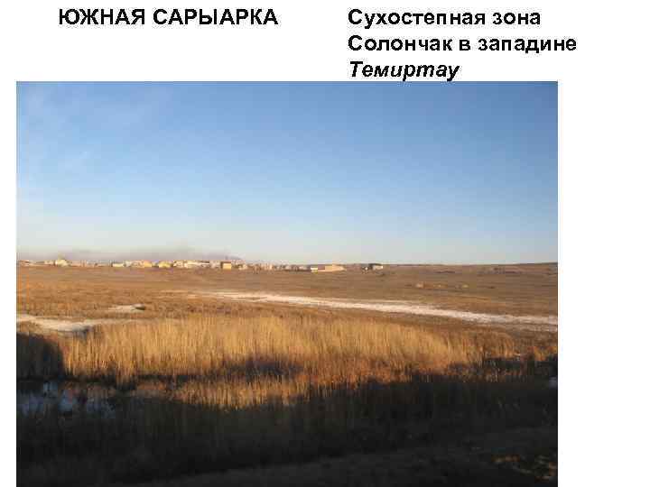 ЮЖНАЯ САРЫАРКА Сухостепная зона Солончак в западине Темиртау 