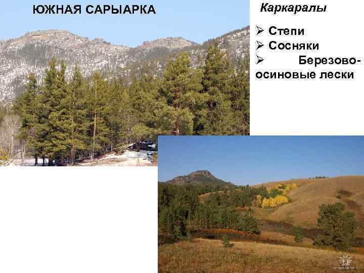 ЮЖНАЯ САРЫАРКА Каркаралы Ø Степи Ø Сосняки Ø Березовоосиновые лески 