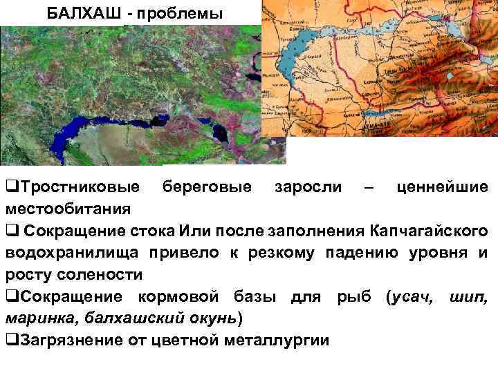 Пути решения проблемы балхаша. Солёность озера Баохаш. Соленость озера Балхаш. По солености Балхаш. Казахстан соленость почв Акмолинской области.