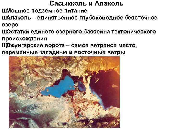 Сасыкколь и Алаколь Ш Мощное подземное питание Ш Алаколь – единственное глубоководное бессточное озеро