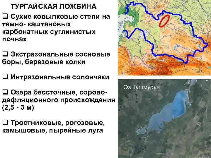 Тургайская ложбина