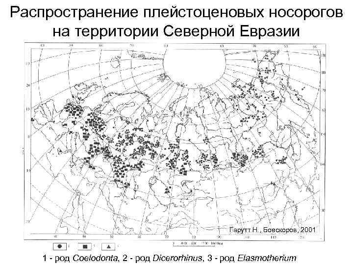 Распространение плейстоценовых носорогов  на территории Северной Евразии     Гарутт Н.