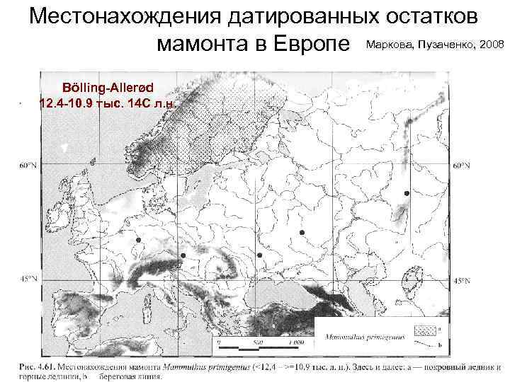 Местонахождения датированных остатков  мамонта в Европе Маркова, Пузаченко, 2008 Bölling-Allerød 12. 4 -10.