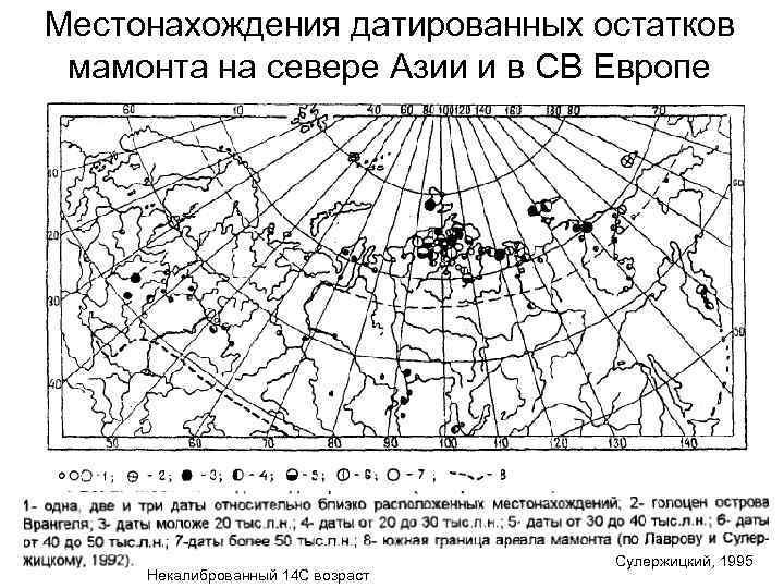 Местонахождения датированных остатков  мамонта на севере Азии и в СВ Европе  