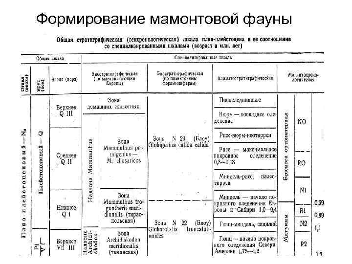 Формирование мамонтовой фауны 