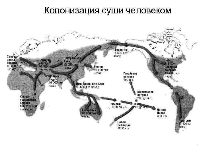 Колонизация суши человеком 