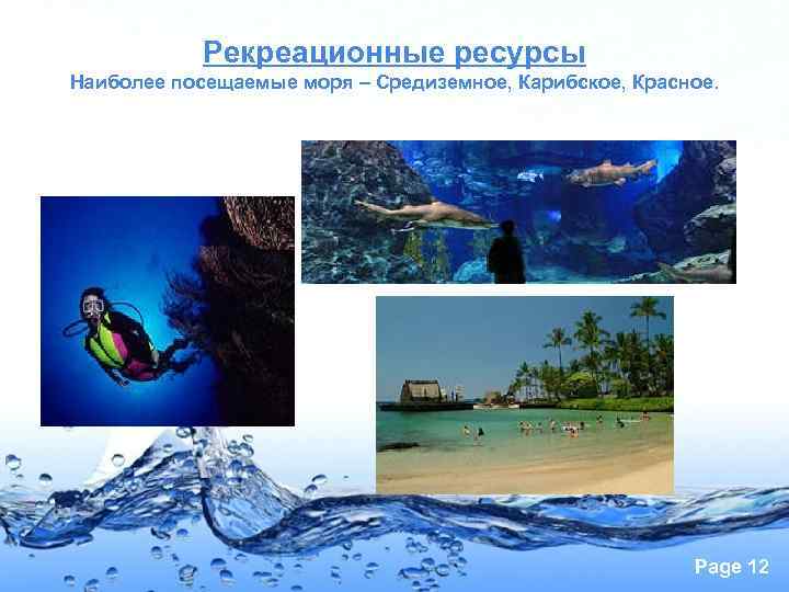   Рекреационные ресурсы Наиболее посещаемые моря – Средиземное, Карибское, Красное.   