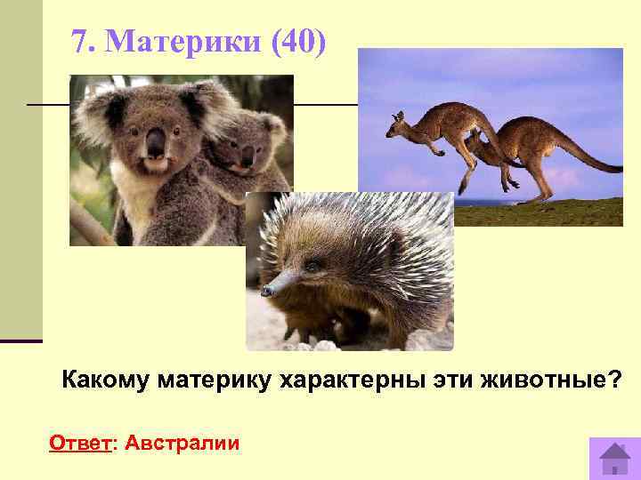  7. Материки (40) Какому материку характерны эти животные?  Ответ: Австралии 