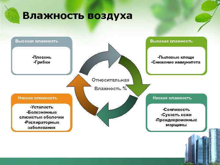  Влажность воздуха Высокая влажность   -Плесень      -Пылевые